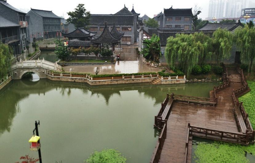 拯救小松鼠